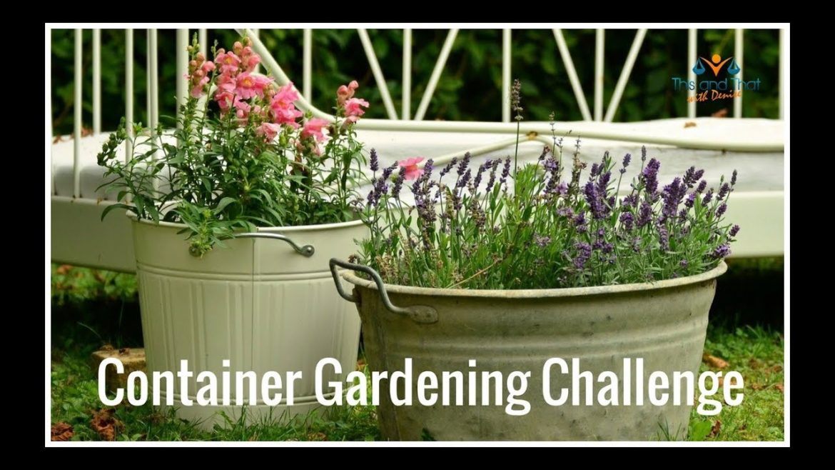 Container Gardening Challenge Open Invitation | Container Garden DIY Container Gardening Challenge Open Invitation | Container Garden DIY
