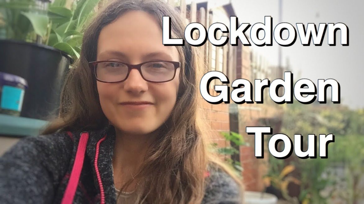 Lockdown Container Garden Tour | April 2020