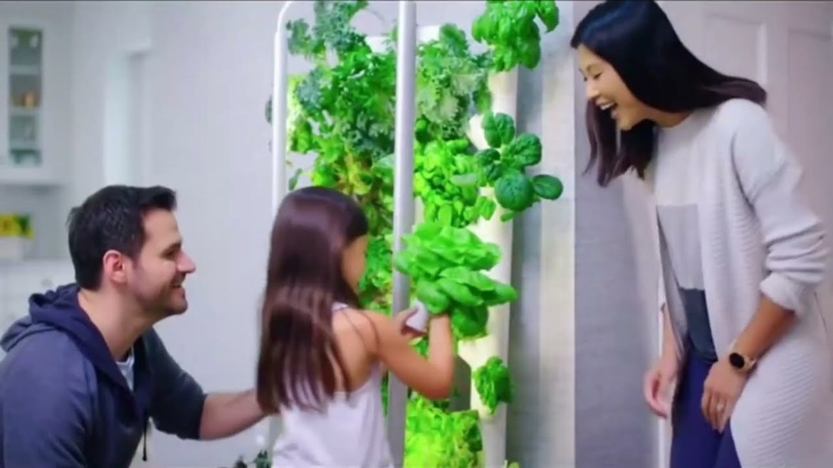 The Vegetable Gardening Model that appeared in the United States