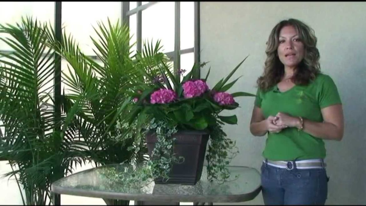 Contain Yourself-February Container Garden (Spanish)