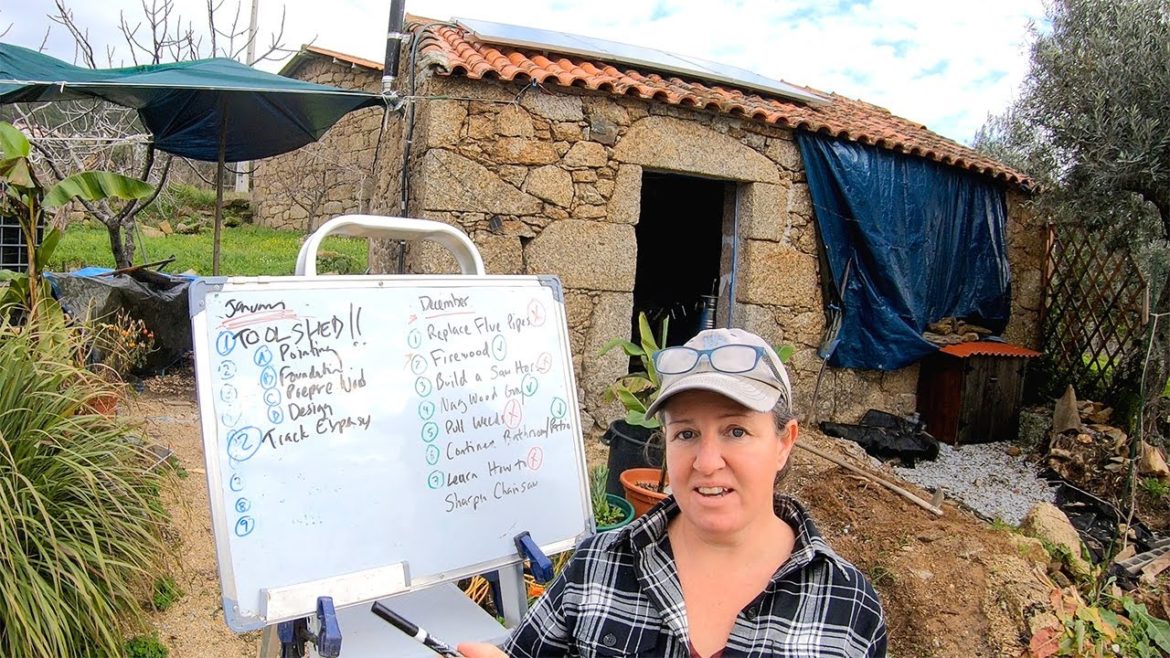 December Update and January Plans for My Off Grid Homestead in Portugal December Update and January Plans for My Off Grid Homestead in Portugal