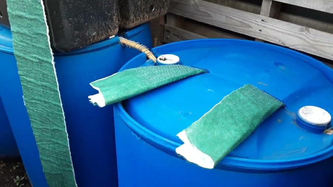 Allotment Jobs 🌻 Wick Barrel Growing System 🌻 Leaf Mould Bin Build Roof Conclusion Total Cost Of £5