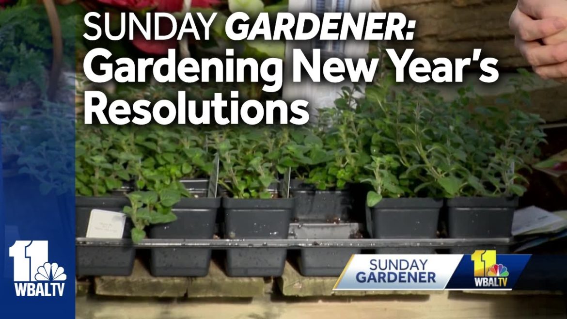 Sunday Gardener: Gardening resolutions for the new year Sunday Gardener: Gardening resolutions for the new year
