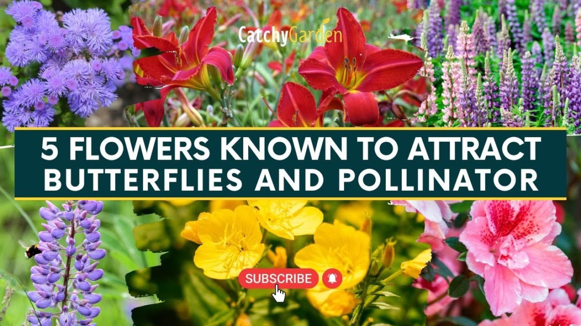 5 Flowers Known to Attract Butterflies and Pollination ๐บ๐ฆ๐ธ // Gardening Tips 5 Flowers Known to Attract Butterflies and Pollination ๐บ๐ฆ๐ธ // Gardening Tips