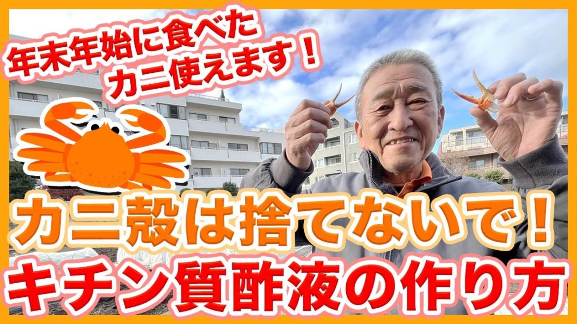 家庭菜園や農園栽培で年末年始に食べたカニ殻は捨てないで!サビ病を防ぐキチン質酢液の作り方!【農家直伝】/How to make anti-rust solution from crab shells. 家庭菜園や農園栽培で年末年始に食べたカニ殻は捨てないで!サビ病を防ぐキチン質酢液の作り方!【農家直伝】/How to make anti-rust solution from crab shells.