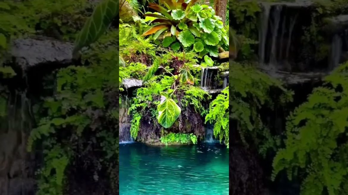 Amazing Red and Green Garden Design Ideas – Your Guide to a Gorgeous Amaizing Landscape #diy #garden Amazing Red and Green Garden Design Ideas - Your Guide to a Gorgeous Amaizing Landscape #diy #garden