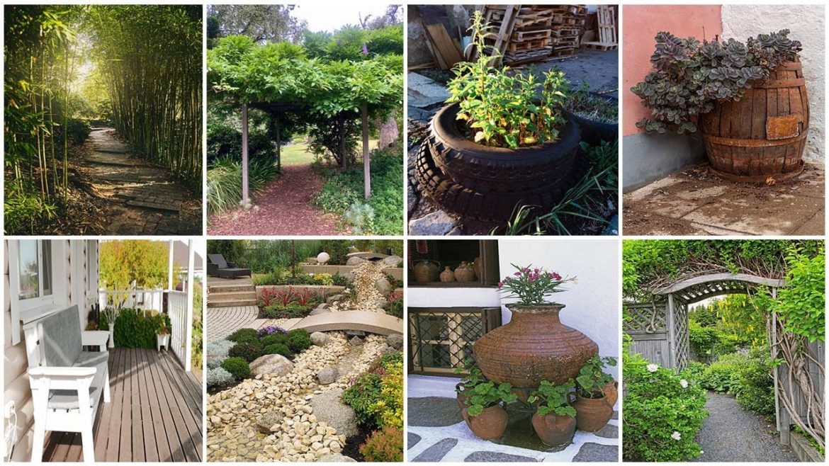 Add color to your garden with these 6 fresh garden design ideas