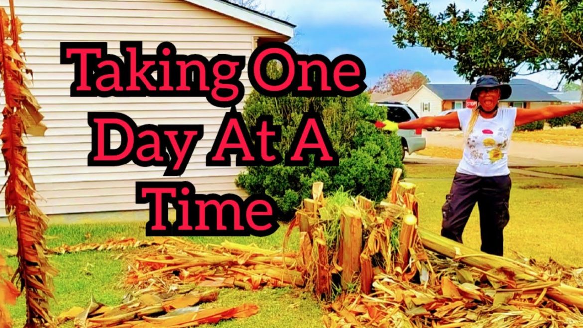 Taking One Day At A Time