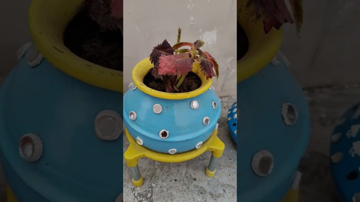 DIY Matki pot for plants 😍👌#diy #garden #plants #colour