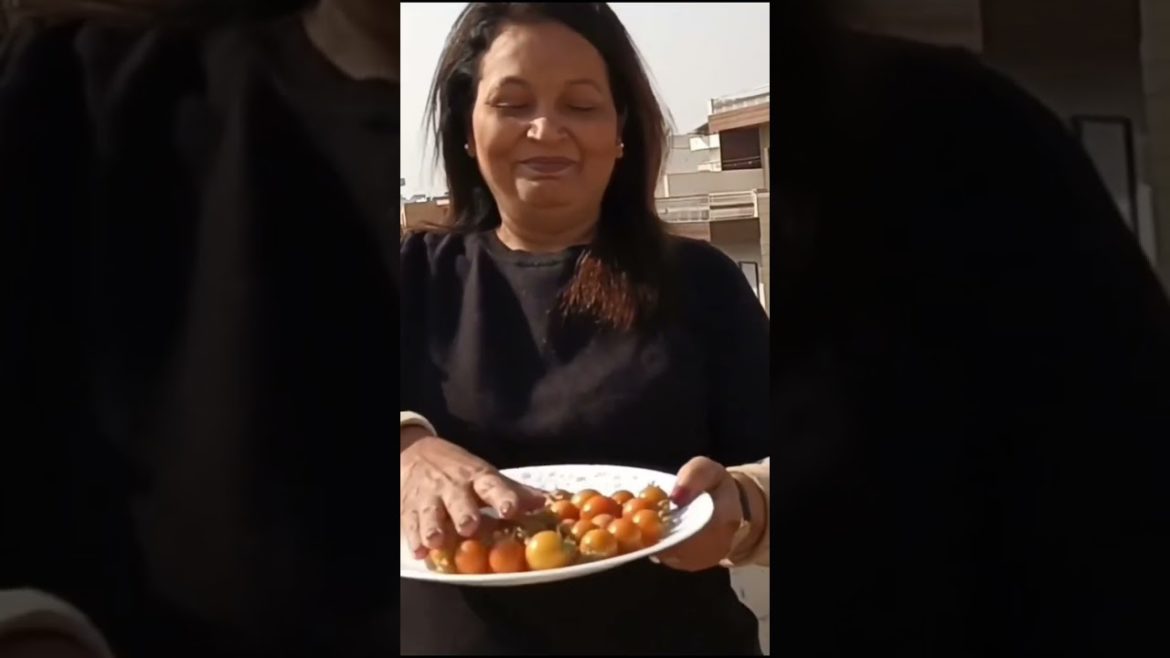 हम भी तो वही हैं हम भी तो वही हैं