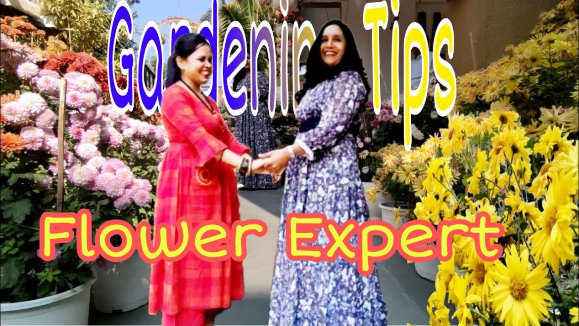 #gardeningtips by #flower expert Mangal Journey full video comming soon #gardeningtips by #flower expert Mangal Journey full video comming soon