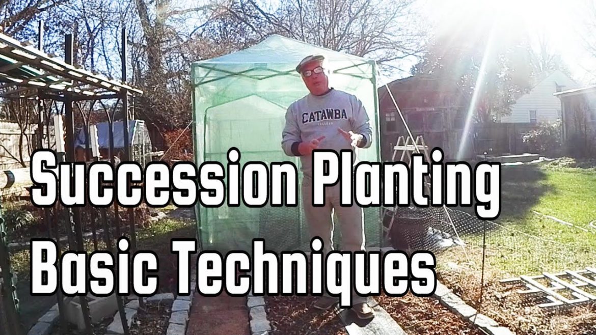 Plan Your Succession Plantings