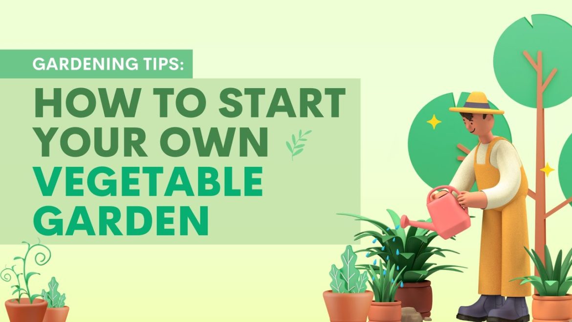 Gardening 101: How to Start YOUR OWN Vegetable Garden!