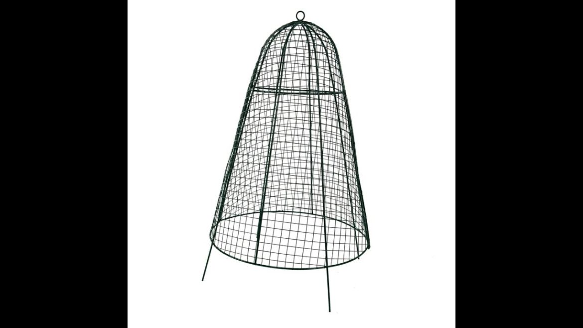 Garden Supply Wire Plant Protector Garden Cloche