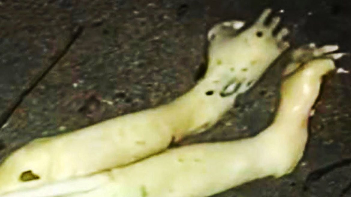 15 Mysterious Things You Have Never Seen Before 15 Mysterious Things You Have Never Seen Before