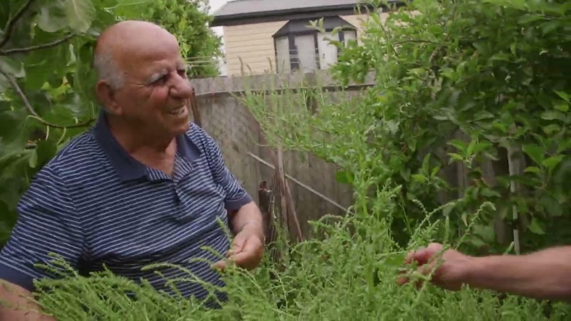 Peter And Connie From Springvale - Part 4