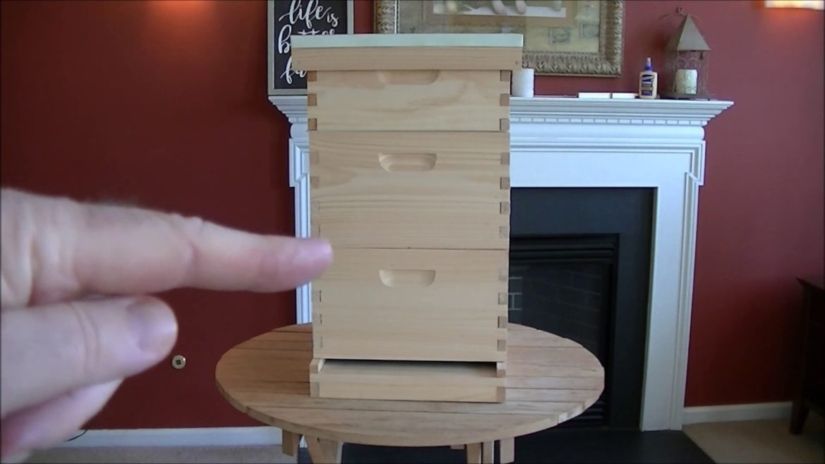 To BEE'S or not to BEE'S. Beekeeping 101 in the Backyard Garden