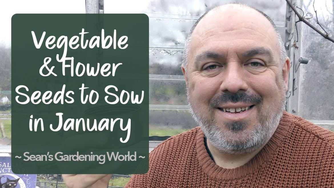 What Seeds to Sow in January | Vegetables and Flowers What Seeds to Sow in January | Vegetables and Flowers