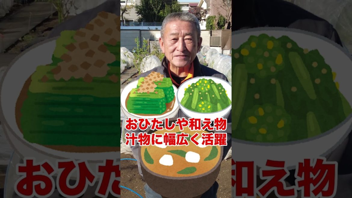 家庭菜園でやりたい！！冬野菜栽培でズボラな人におすすめな簡単栽培方法！#shorts /Tips for cultivating winter vegetables.