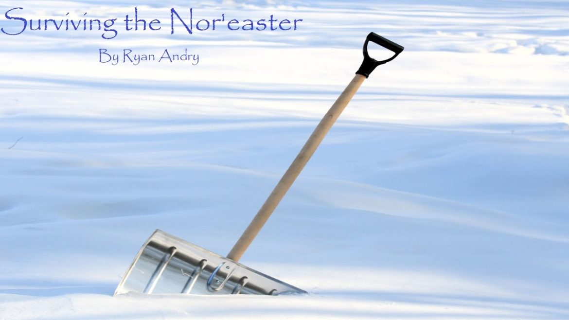 Surviving the Nor'easter - ToH Original Horror (Audiobook)
