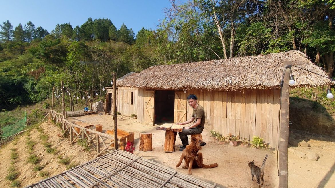 Full Video 169 Days Building a Forest Shelter, Grow vegetable, Poultry Farming, Go fishing, Cook