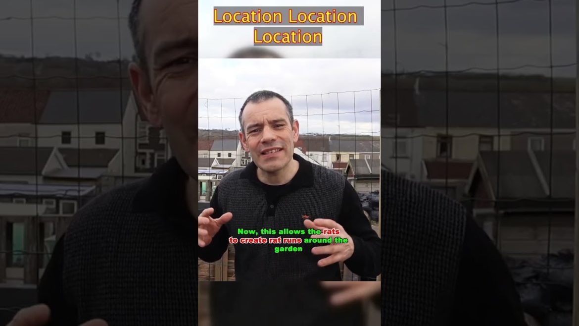 The Most Effective Way to Keep Rats Out of Your Compost Bin   Location #Shorts