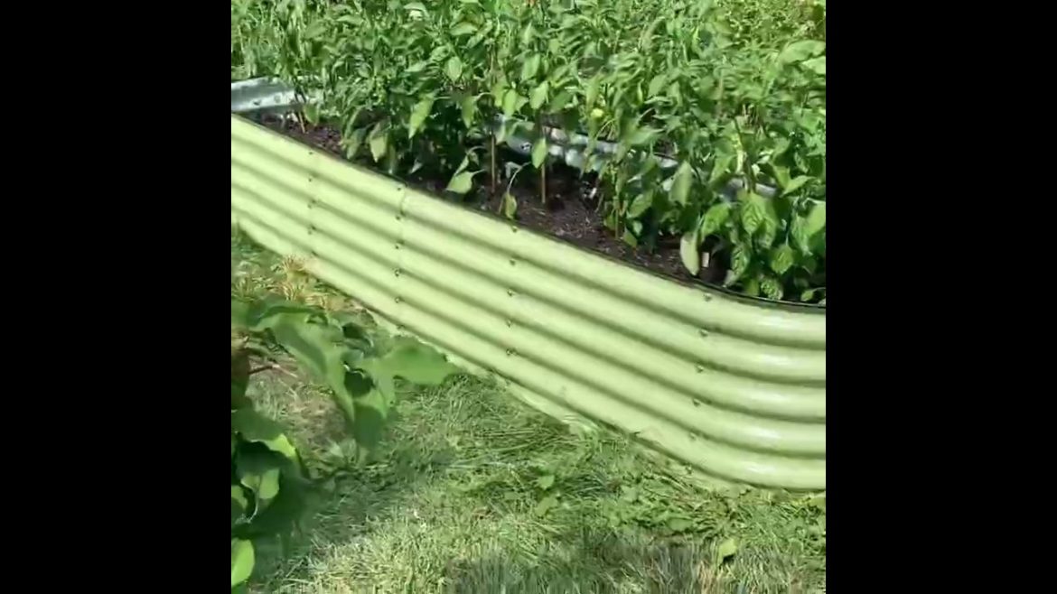 Enjoy Gardening? Build A Raised Bed With Olle Gardens' Considerable Knowledge. Enjoy Gardening? Build A Raised Bed With Olle Gardens' Considerable Knowledge.