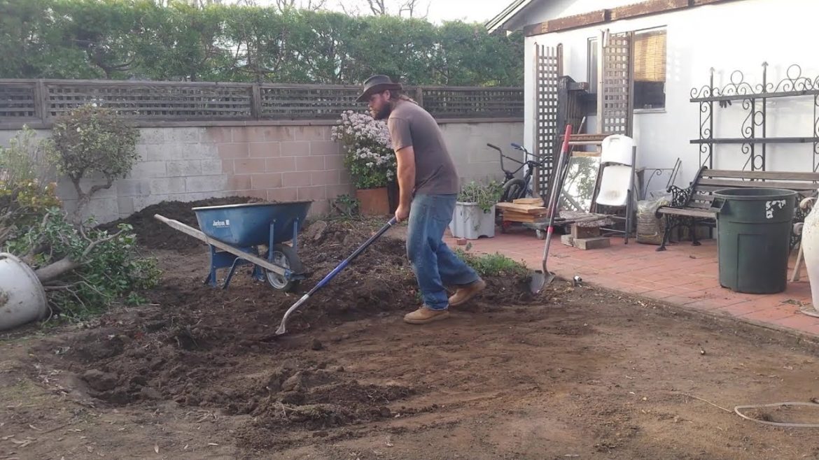 Backyard Ecological Landscape: Grading for Water Harvesting Backyard Ecological Landscape: Grading for Water Harvesting