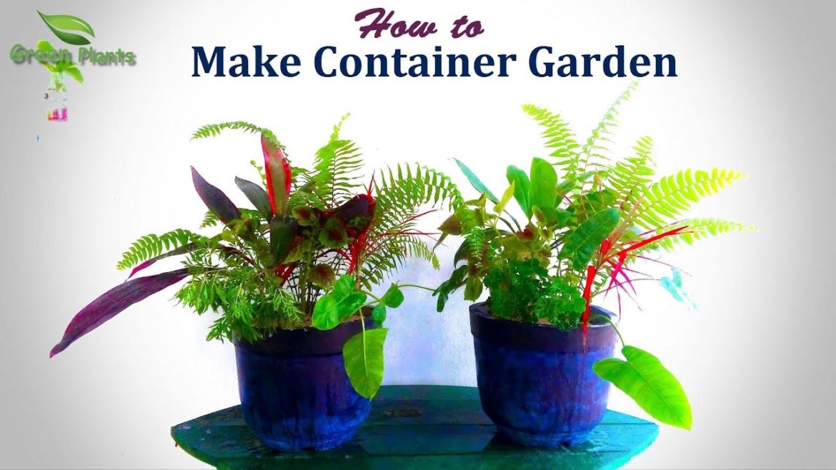 How to Make Container Garden Step by Step | Grow Plants in Container Ideas//GREEN PLANTS