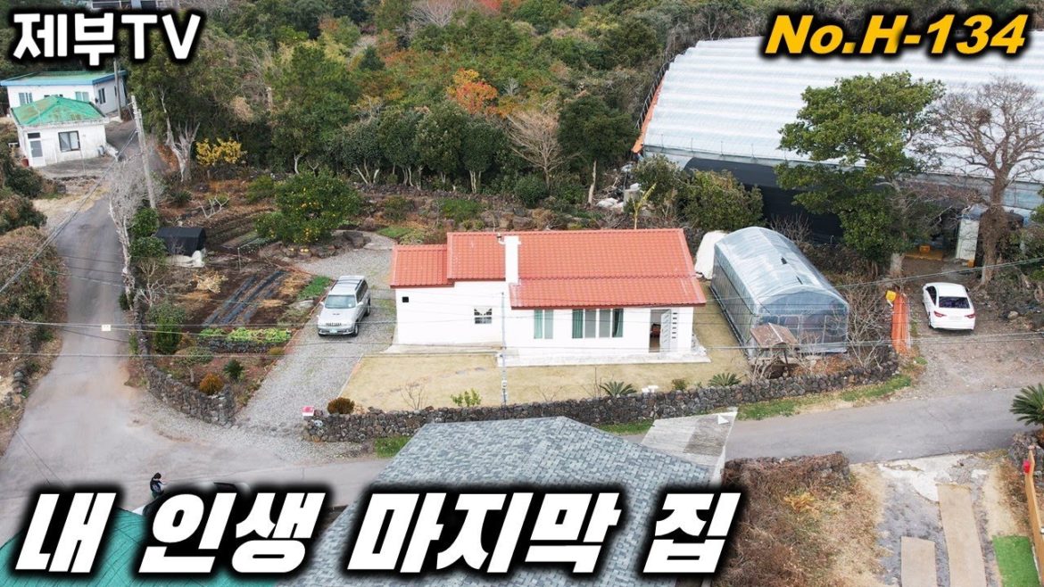 제주도 전원주택 매매 H-134 알콩 달콩 텃밭을 가꾸며 재밌게 살아보세요 제주도 부동산 매물,Jeju House for sale,Korea,제주도부동산TV