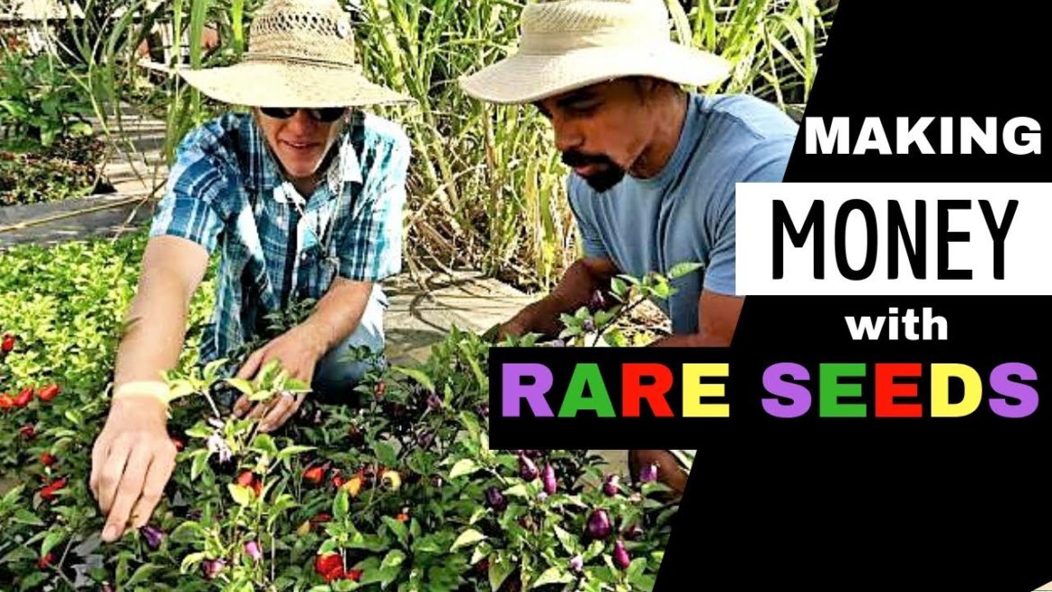 PROFITABLE Market Gardening with HEIRLOOMS