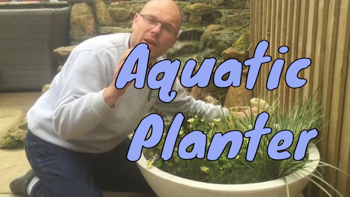 Container Pond Ideas - Water Gardening Landscaping Garden UK