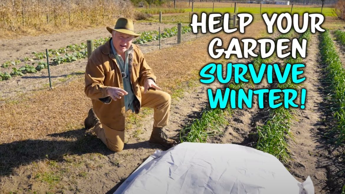 How To Deal With The Cold | Vegetable Gardening