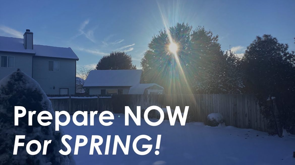 Do THESE Simple Steps To Prepare Your Garden For Spring