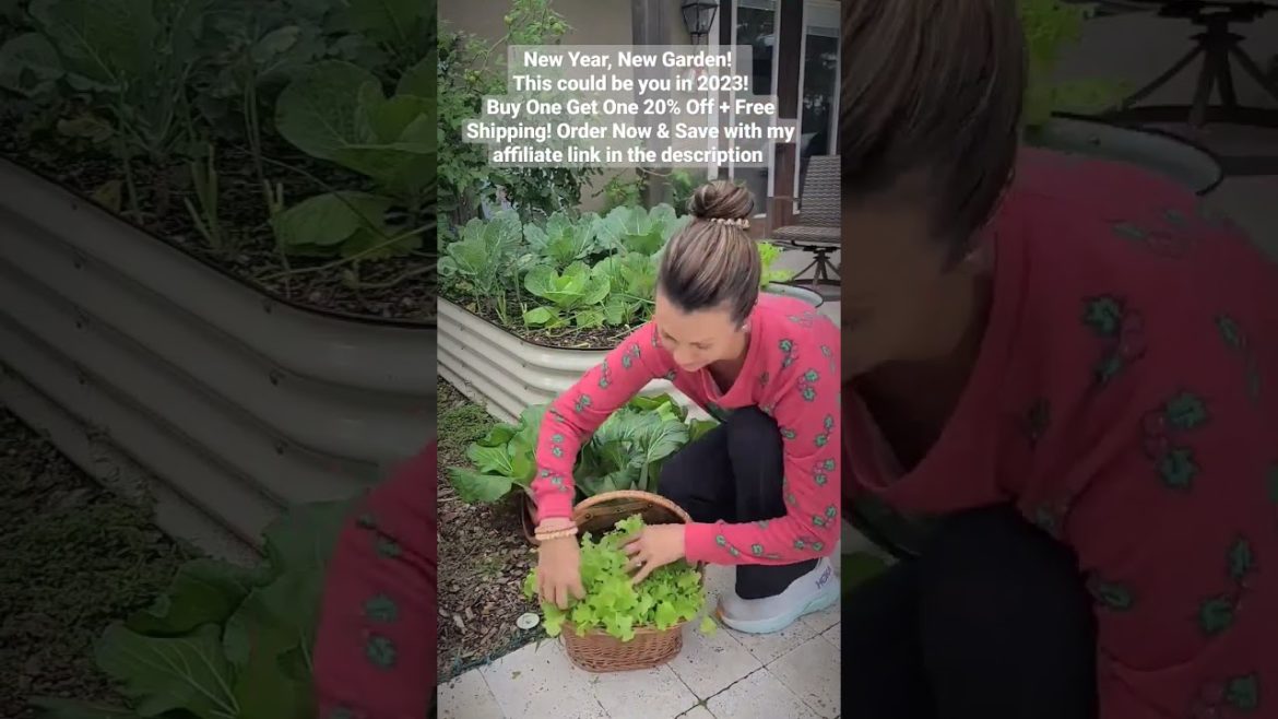 Harvest from my Raised Garden Beds. Buy One Get One 20% Off + Free Shipping! #garden #gardening