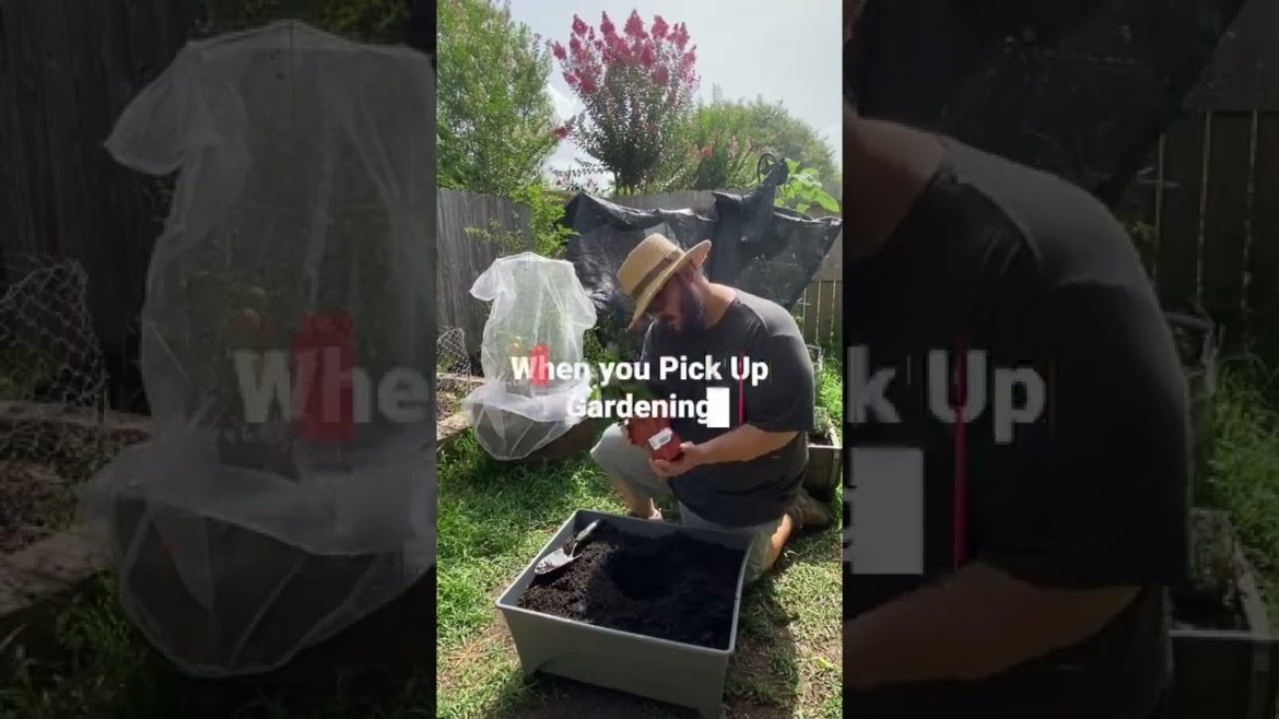 The Effects Of Gardening The Effects Of Gardening