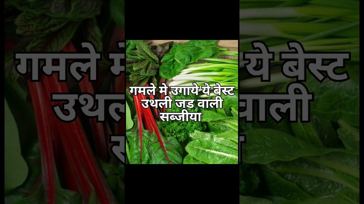 Grow Vegetables In Pots #shorts