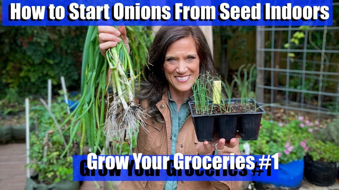 Starting Onion Seeds Indoors/Grow Your Groceries with CaliKim #1 🍅🥬🥕🥗🍓