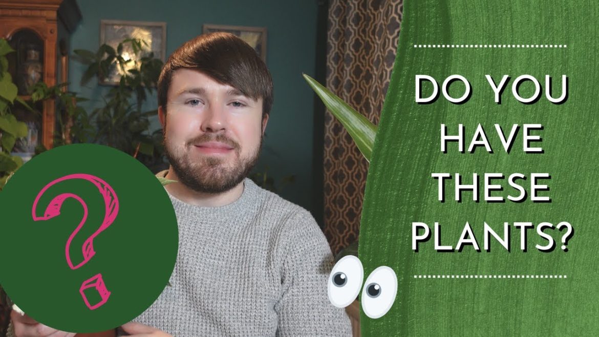 Houseplant Trends for 2023 + Upcoming Plant Style Trends Houseplant Trends for 2023 + Upcoming Plant Style Trends