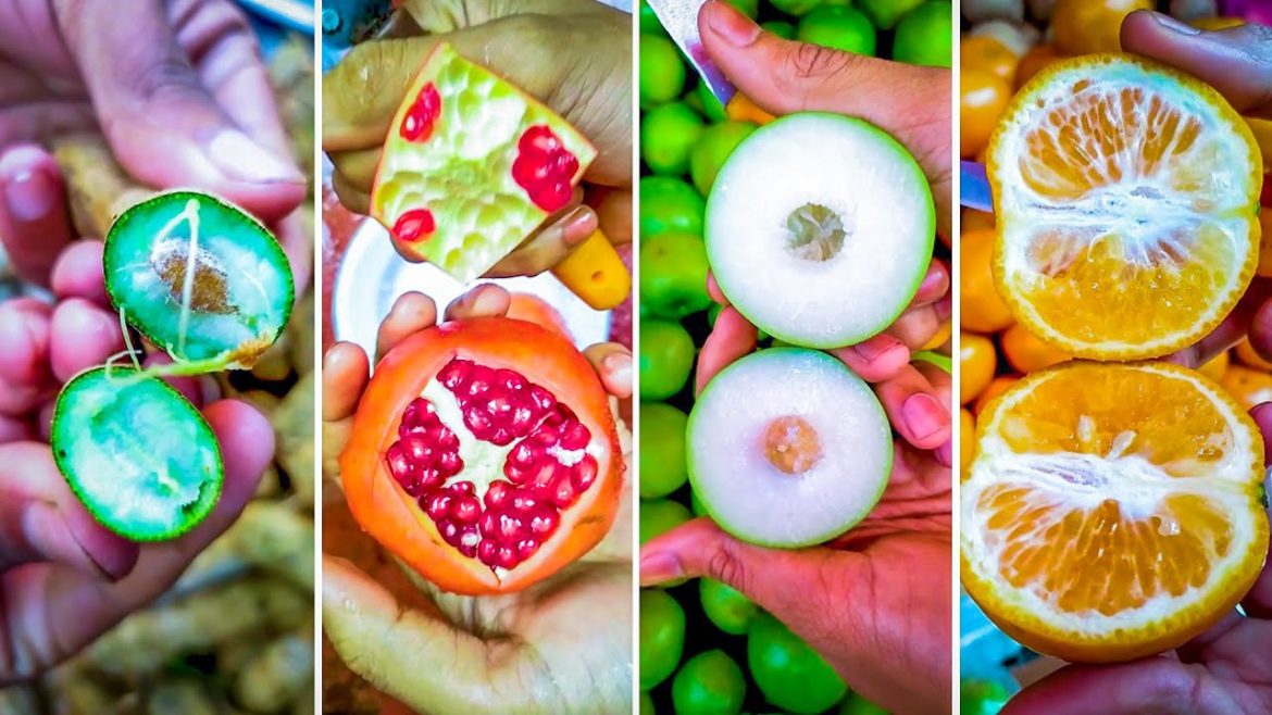 🍓🍇The Most Popular Fruit In The World!🥝🍒🥭 02 🍓🍇The Most Popular Fruit In The World!🥝🍒🥭 02