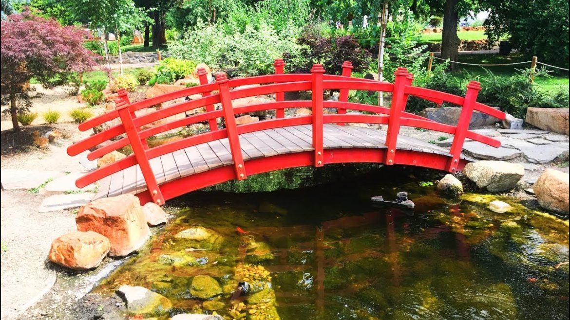 Wood Bridge Backyard Garden Design Idea 2019 - Landscape and Backyard Garden Bridge Part.1