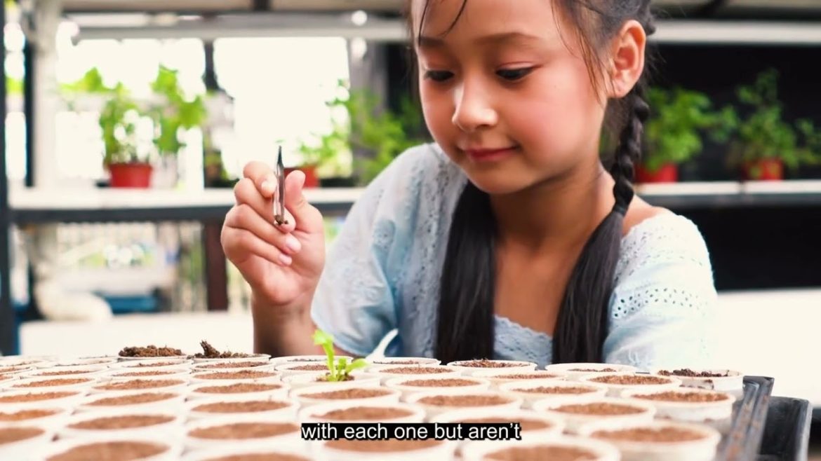 Growing Hydroponic Vegetable Garden at Home - Easy for Beginners