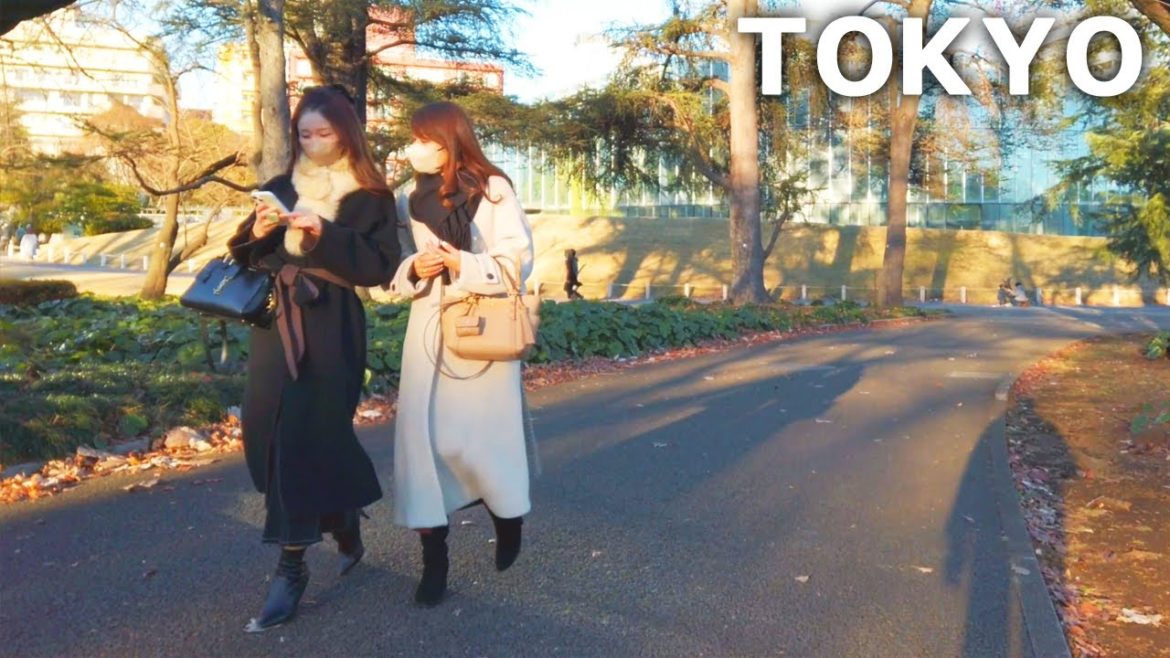 [4k] Tokyo - Walking in Shinjuku Gyoen. Scenery changing from autumn to winter (Dec. 2022)