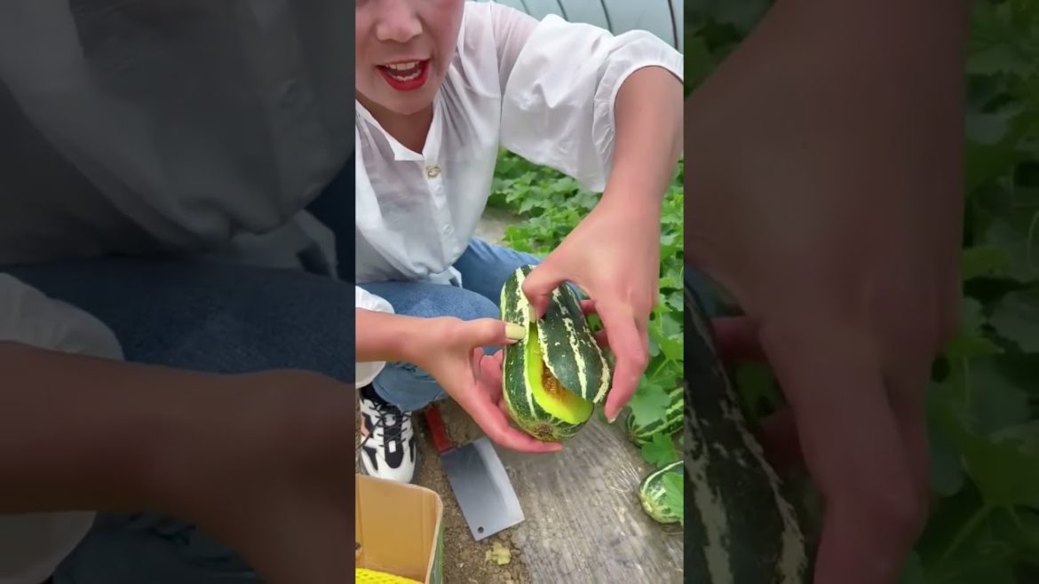 Beautiful Nature – Inspur Fresh Fruit wonderful video of Industry #11 Beautiful Nature - Inspur Fresh Fruit wonderful video of Industry #11