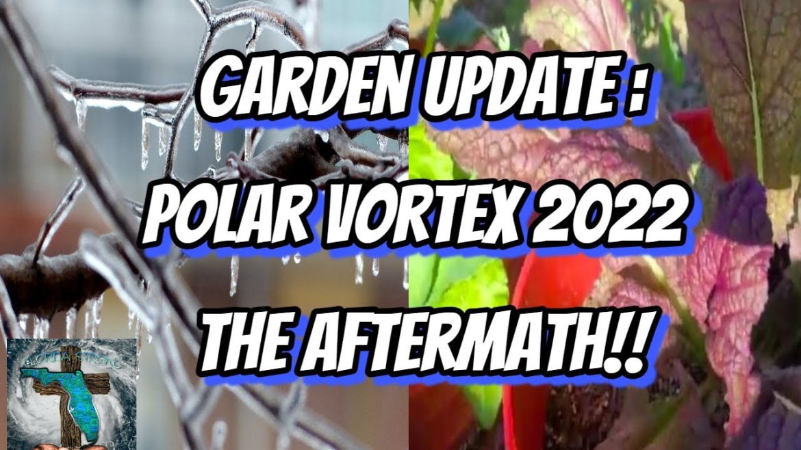 1ST GAREDEN UPDATE 2023!!!  TO COVER OR NOT TO COVER? #gardening