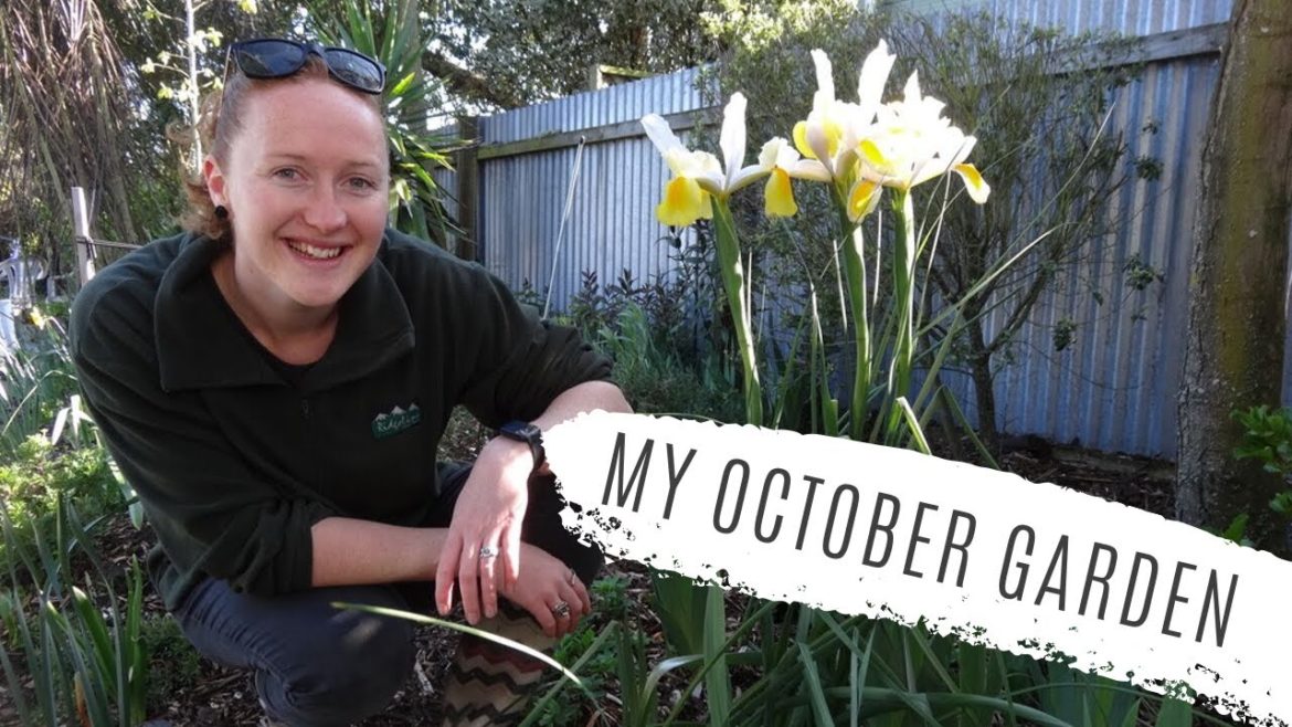 October Garden Tour - (ru)Grew - Backyard Garden - Christchurch - New Zealand