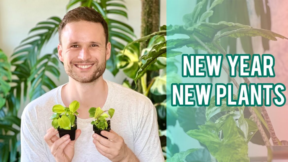 NEW PLANTS TO GROW IN 2023 -  small plants, wishlist & plant prices