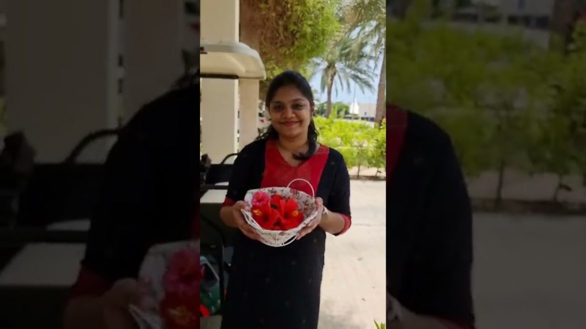 Our front yard garden | Saudi home Flower garden #Shorts | Arun and Dikshi Our front yard garden | Saudi home Flower garden #Shorts | Arun and Dikshi