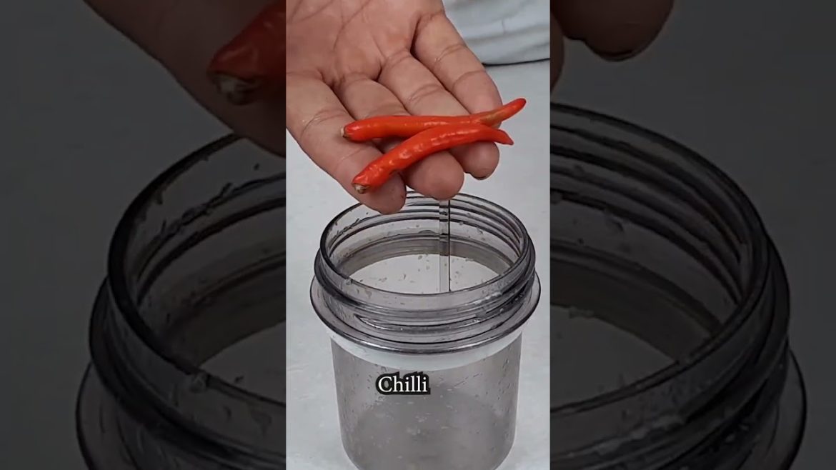 Easy pesticide for plants | Chilli and garlic pesticide#shorts