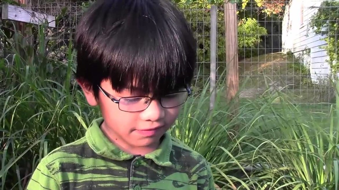 Lemon Grass: Exotic Herbs & Tropical Plants In Our Backyard Garden | Aiman's Organic Gardening Ideas Lemon Grass: Exotic Herbs & Tropical Plants In Our Backyard Garden | Aiman's Organic Gardening Ideas